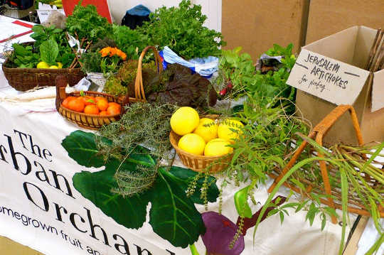Let's Reap The Economic Benefits Of Local Food Over Big Farming