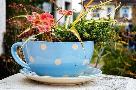Get Back In The Garden With These Ideas
